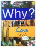 Why ? Cave : Gua