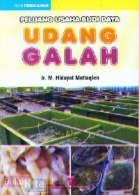 Peluang Usaha Budi Daya Udang Galah