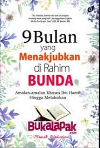 9 Bulan yang Menakjubkan di Rahim Bunda