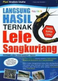 Langsung Hasil Ternak Lele Sangkuriang