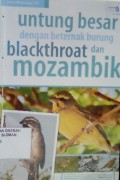 Untung Besar dengan Beternak Burung Blackthroat dan Mozambik