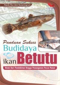 Panduan sukses budidaya ikan betutu, profesi menjanjikan di perikanan air tawar