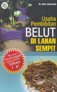 Usaha Pembibitan Belut di Lahan Sempit