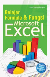 Belajar Formula dan Fungsi Microsoft Exel : mudah praktis dan langsung bisa