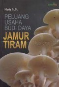 Peluang usaha budi daya jamur tiram