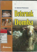 Beternak Domba