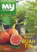 My Trubus: Prospek Bisnis Buah Tin